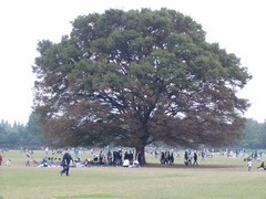 親睦会